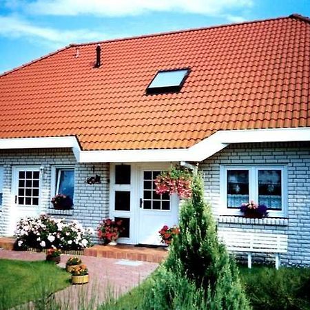 Ferienwohnung Zur Ostsee 400 M Nienhagen  Exteriér fotografie