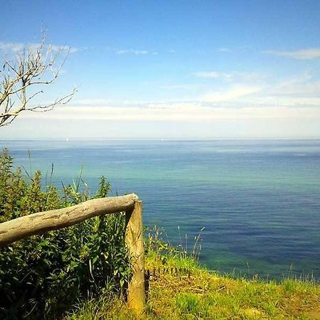 Ferienwohnung Zur Ostsee 400 M Nienhagen  Exteriér fotografie